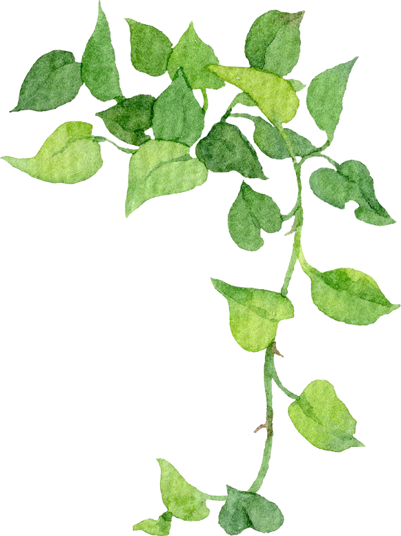 Green leaf watercolor