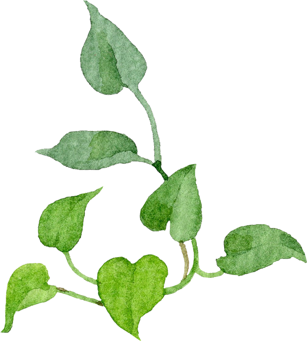 Green leaf watercolor